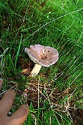 IMG_9301