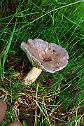 IMG_9302