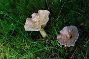 IMG_9305