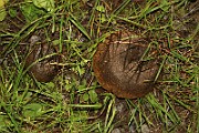 IMG_0754