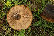 IMG_0760