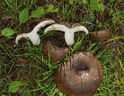 IMG_0765
