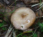 IMG_2006