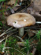 IMG_2007