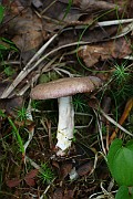 IMG_2008