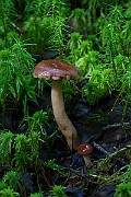 IMG_1188
