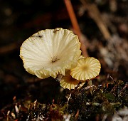 IMG_0047