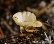 IMG_0050