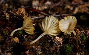 IMG_0051