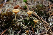 IMG_0359