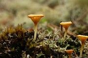IMG_0360