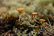 IMG_0361