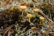 IMG_0367