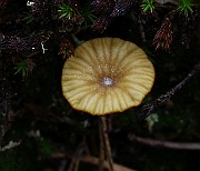 IMG_0369