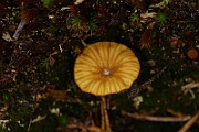 IMG_0370