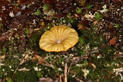 IMG_0372
