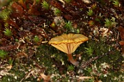 IMG_0373