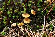 IMG_0455