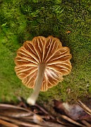 IMG_2773