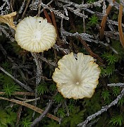 IMG_6639