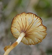 IMG_6642