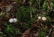 IMG_0851
