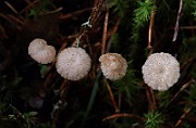 IMG_0853