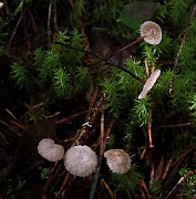 IMG_0855