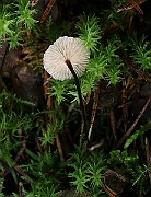 IMG_0858