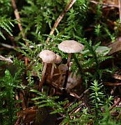 IMG_0859
