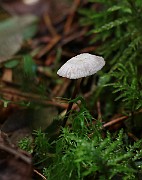 IMG_0860