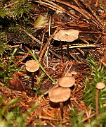 IMG_0861