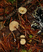 IMG_1173