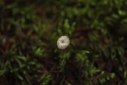 IMG_2422