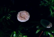 IMG_9952