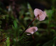 IMG_9953
