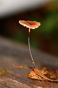 IMG_1073