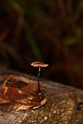 IMG_1079