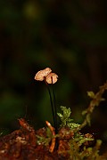 IMG_1086