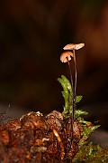 IMG_1089