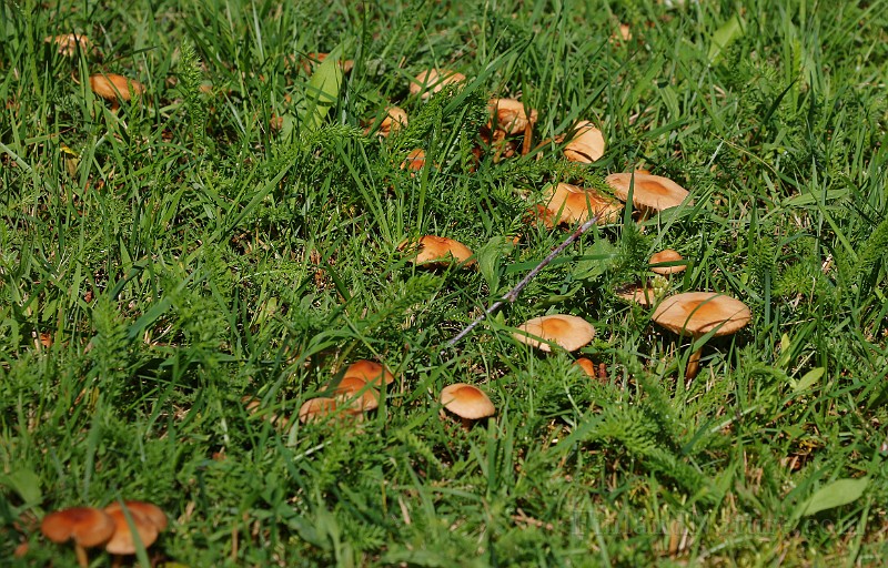 IMG_5842.JPG