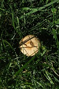 IMG_0389