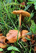 IMG_0457
