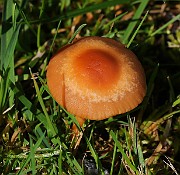 IMG_5832
