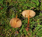 IMG_5841