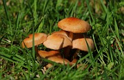 IMG_5843