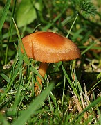 IMG_5845
