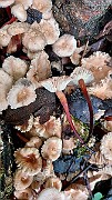 20200730_154537