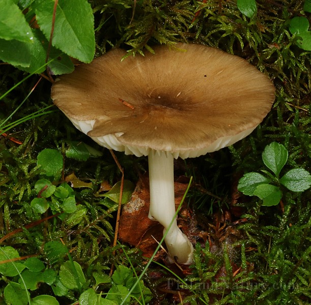 IMG_6044.JPG