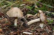 IMG_1046